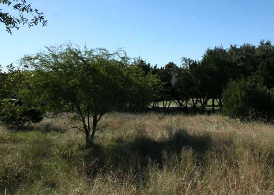 Land For Sale in Fair Oaks Ranch